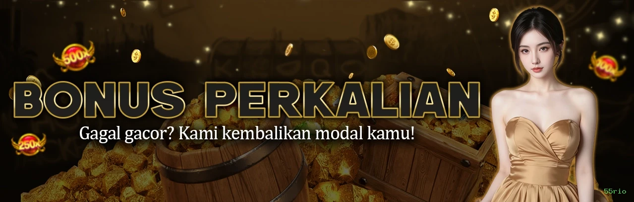 Slots Premium da PG Soft na 55rio